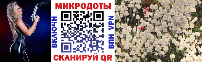 наркота  Зея  Галлюциногенные грибы мицелий 